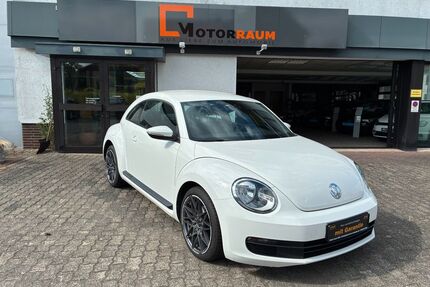 VW Beetle Gebrauchtwagen