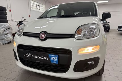 Fiat Panda Gebrauchtwagen