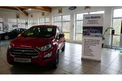 Ford EcoSport Gebrauchtwagen