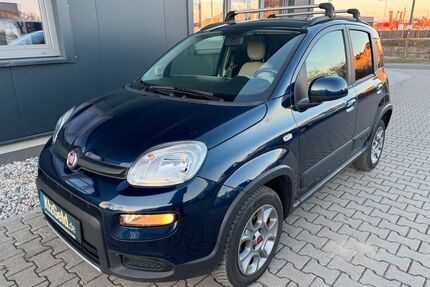 Fiat Panda Gebrauchtwagen