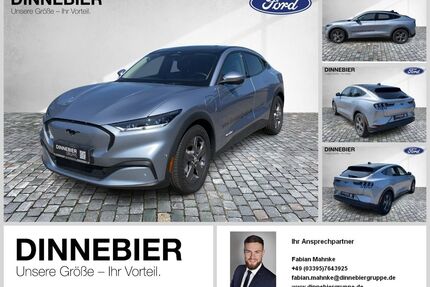 Ford Mustang Mach-E Gebrauchtwagen