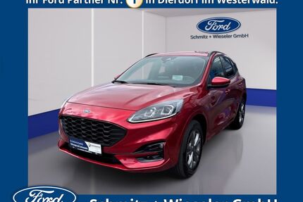 Ford Kuga Gebrauchtwagen