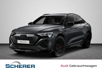 Audi Q8 e-tron Gebrauchtwagen