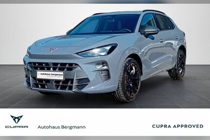 Cupra Terramar Gebrauchtwagen