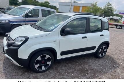 Fiat Panda Gebrauchtwagen