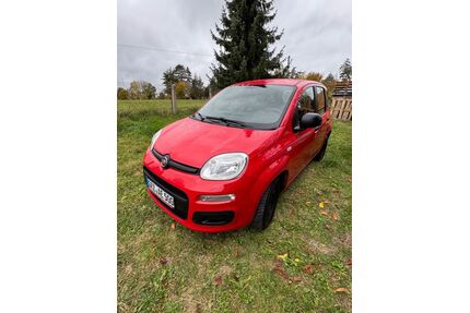 Fiat Panda Gebrauchtwagen
