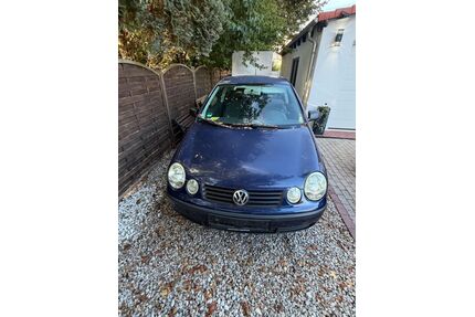 VW Polo Gebrauchtwagen
