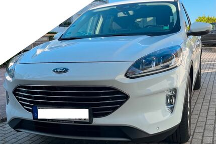 Ford Kuga Gebrauchtwagen
