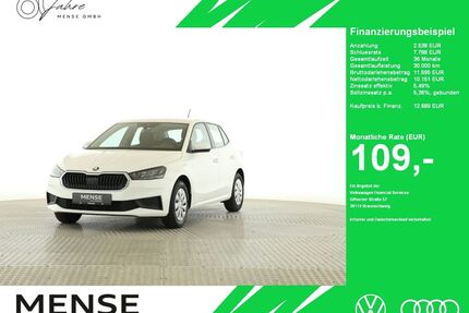 Skoda Fabia Gebrauchtwagen