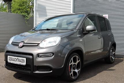 Fiat Panda Gebrauchtwagen