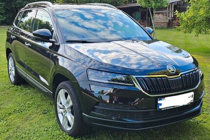 Skoda Karoq Gebrauchtwagen