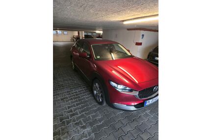 Mazda CX-30 Gebrauchtwagen