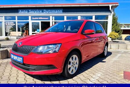 Skoda Fabia Gebrauchtwagen