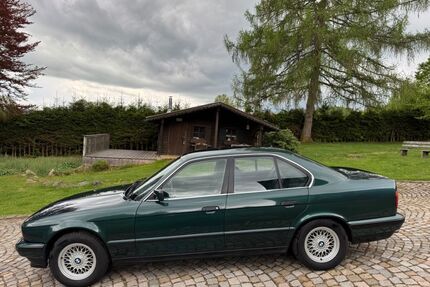 BMW 525 Gebrauchtwagen