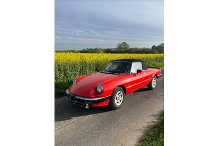 Alfa Romeo Spider Gebrauchtwagen