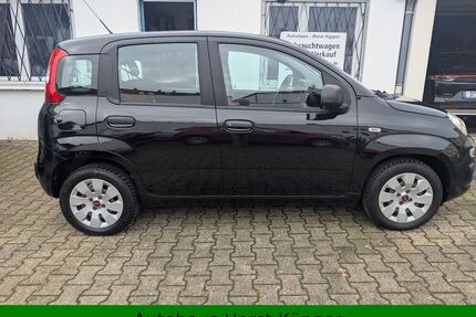 Fiat Panda Gebrauchtwagen