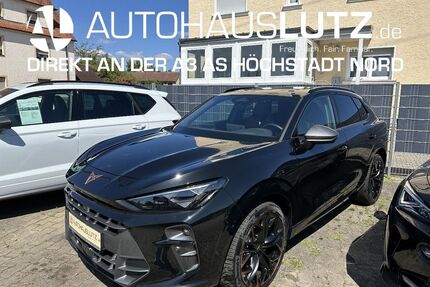 Cupra Terramar Gebrauchtwagen