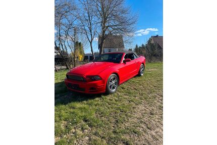 Ford Mustang Gebrauchtwagen