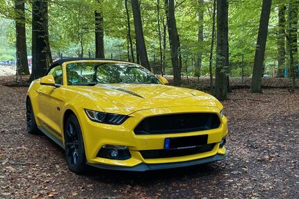 Ford Mustang Gebrauchtwagen