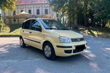 Fiat Panda Gebrauchtwagen