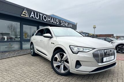 Audi e-tron Gebrauchtwagen
