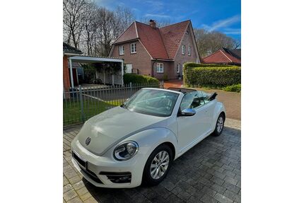 VW Beetle Gebrauchtwagen