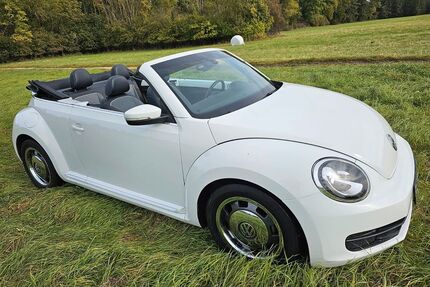 VW Beetle Gebrauchtwagen