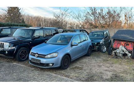 VW Golf Gebrauchtwagen
