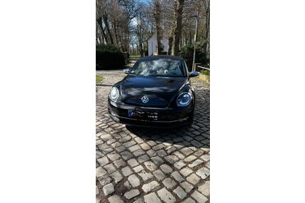 VW Beetle Gebrauchtwagen