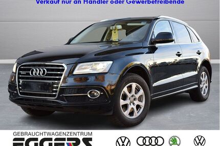 Audi Q5 Gebrauchtwagen