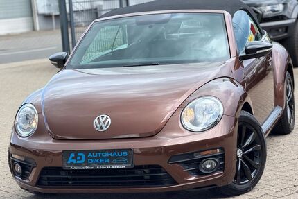 VW Beetle Gebrauchtwagen