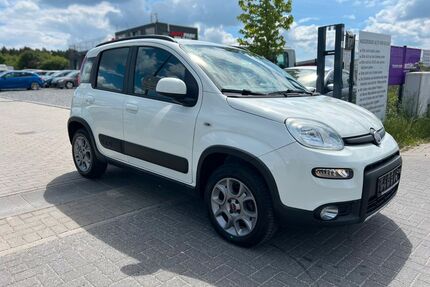Fiat Panda Gebrauchtwagen