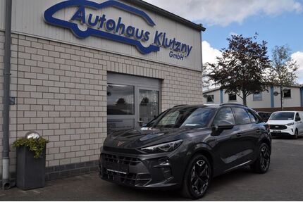 Cupra Terramar Gebrauchtwagen