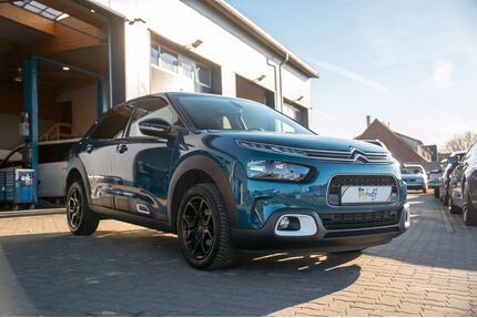 Citroen C4 Cactus Gebrauchtwagen