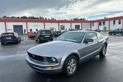 Ford Mustang Gebrauchtwagen