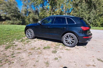 Audi SQ5 Gebrauchtwagen