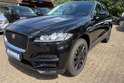 Jaguar F-Pace Gebrauchtwagen