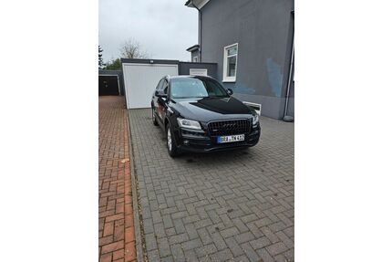 Audi Q5 Gebrauchtwagen