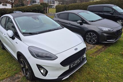 Ford Fiesta Gebrauchtwagen