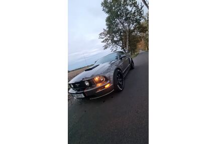 Ford Mustang Gebrauchtwagen