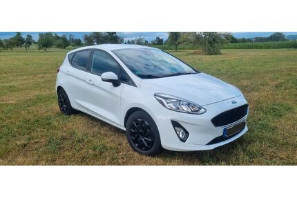 Ford Fiesta Gebrauchtwagen