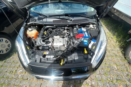 Ford Fiesta Gebrauchtwagen