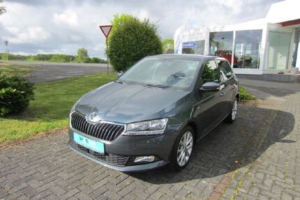 Skoda Fabia Gebrauchtwagen