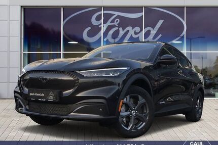 Ford Mustang Mach-E Gebrauchtwagen
