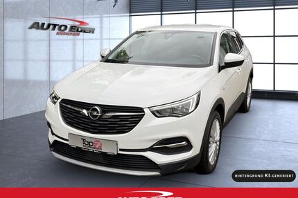 Opel Grandland (X) Gebrauchtwagen