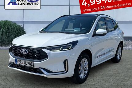 Ford Kuga Gebrauchtwagen