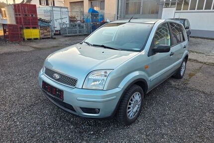 Ford Fusion Gebrauchtwagen