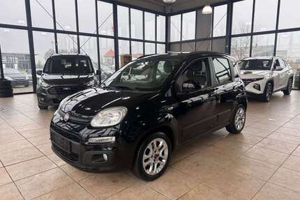 Fiat Panda Gebrauchtwagen