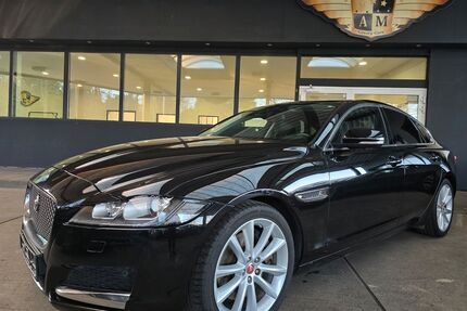 Jaguar XF Gebrauchtwagen