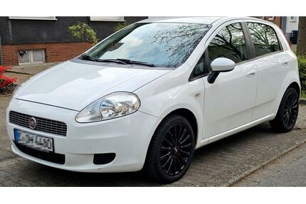 Fiat Punto Gebrauchtwagen